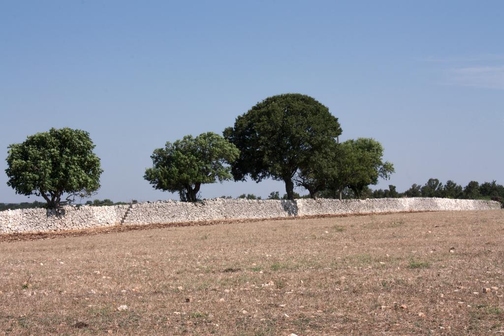 Trulli Sarmenzanello Διαμέρισμα Νότσι Δωμάτιο φωτογραφία