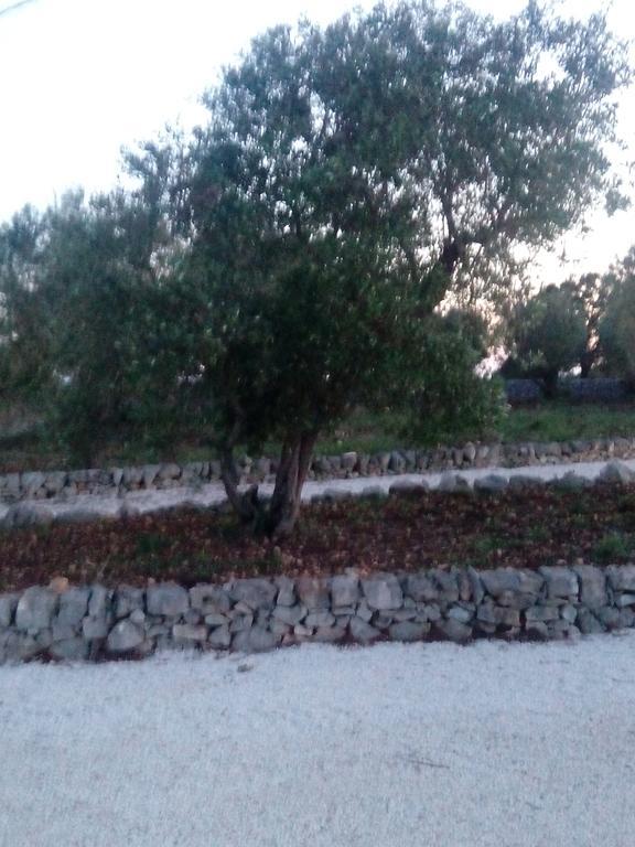 Trulli Sarmenzanello Διαμέρισμα Νότσι Εξωτερικό φωτογραφία