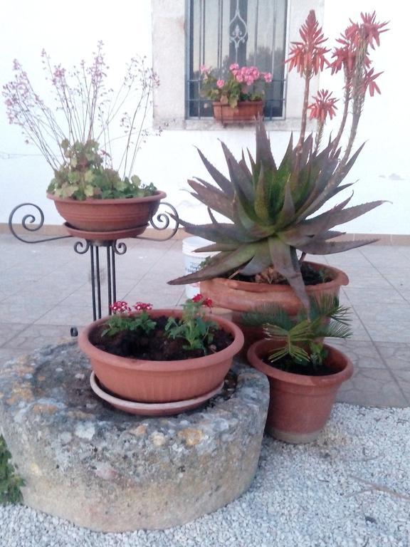 Trulli Sarmenzanello Διαμέρισμα Νότσι Εξωτερικό φωτογραφία