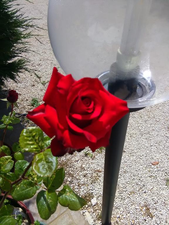 Trulli Sarmenzanello Διαμέρισμα Νότσι Εξωτερικό φωτογραφία